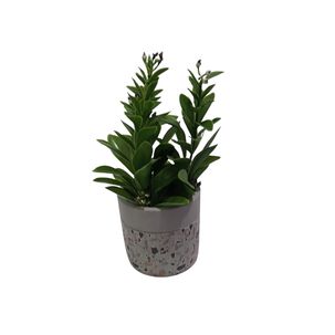 Planta Artificial Maceta Cemento 23 Cm