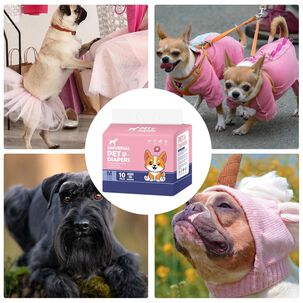 Pack 10 Pa&ntilde;ales Absorventes L Para Perros Hembra Mascotas