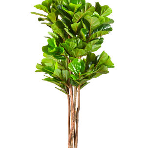 Planta Artificial Ficus Premium Lyrata 180 Cm. / 232 Hojas