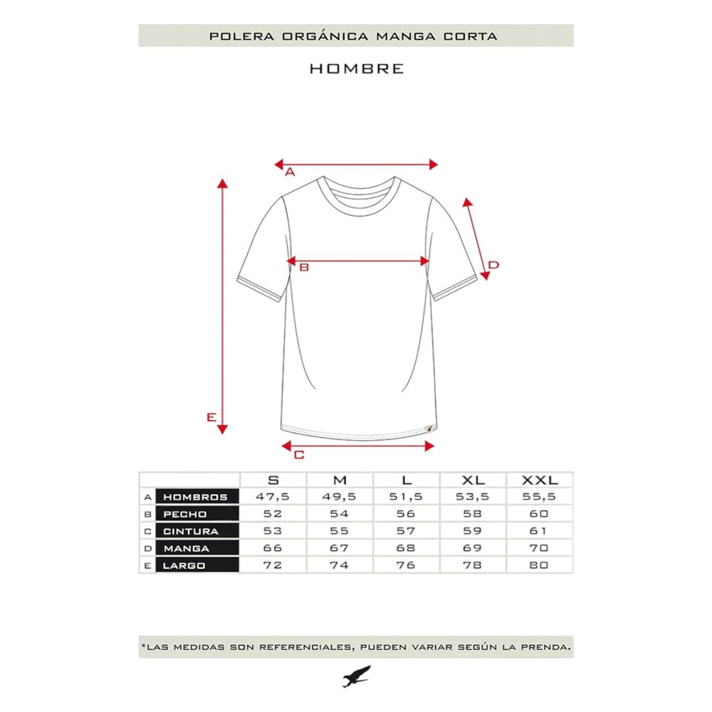 Polera Orgánica Con Bolsillo Café Claro Hombre Falcone image number 4.0