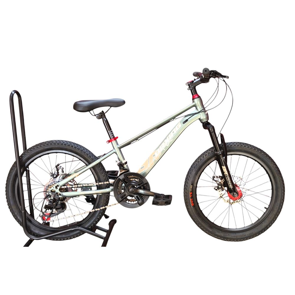 Bicicleta Aro 20 Brxing Con Freno Disco Y 21 Velocidades Gris Blanco image number 0.0