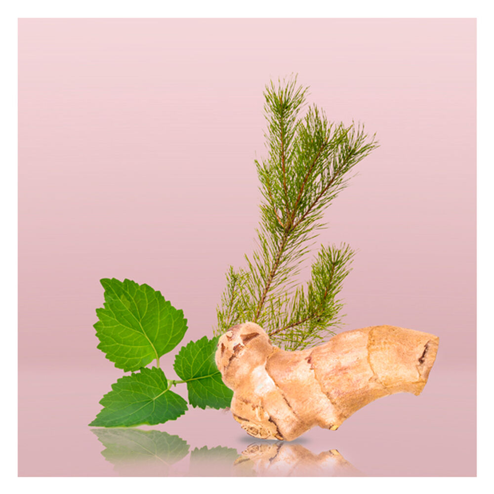 Euphoria Men 100 Ml Edt Calvin Klein image number 4.0