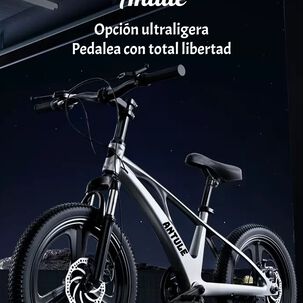 Bicicleta Infantil 10-15 A&ntilde;os Aro 22 City Lubabycas