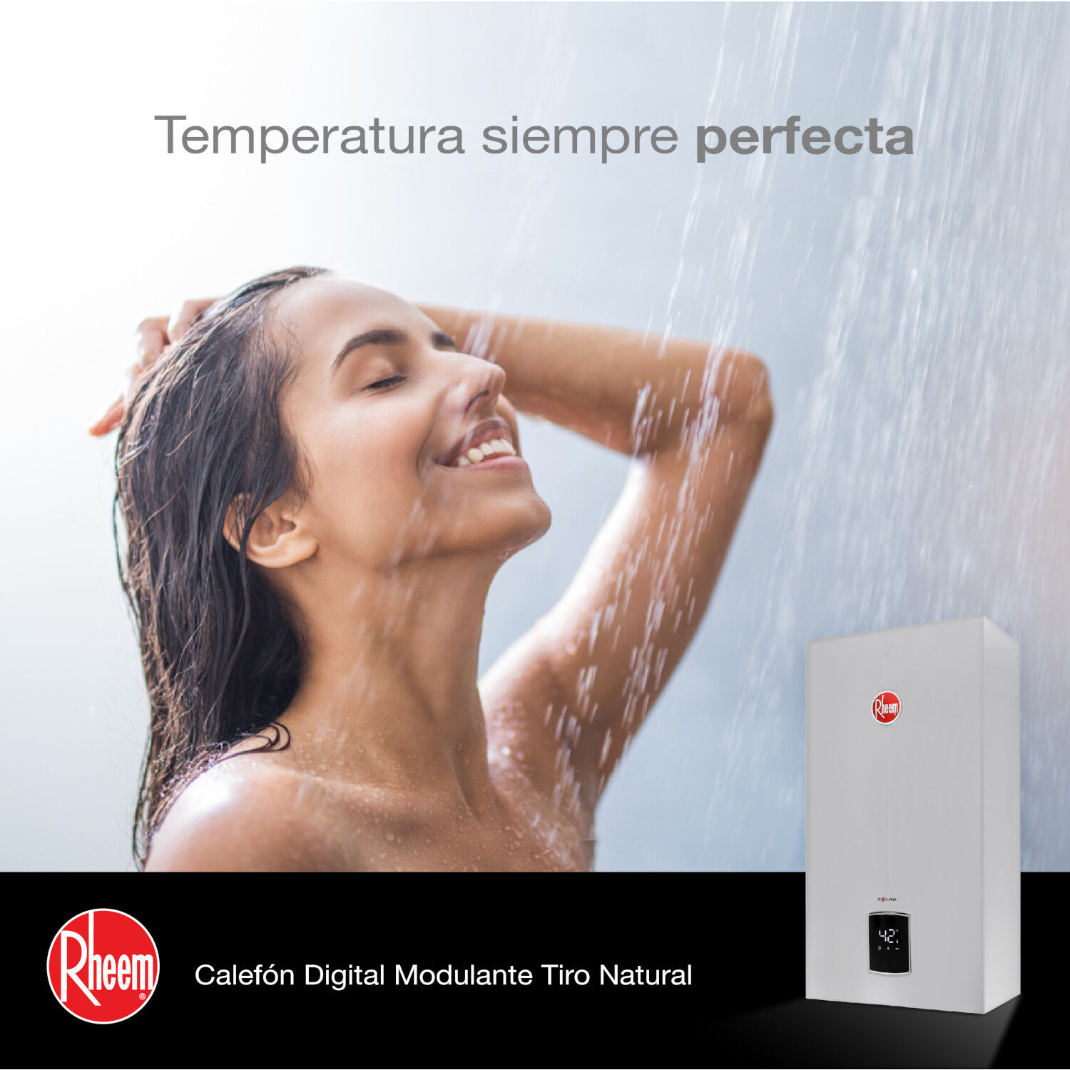 Calefont 10 Litros Gas Natural Tiro Natural Rheem image number 5.0