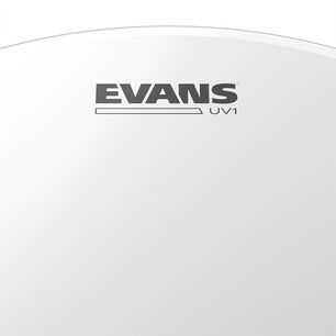 Parche 16 Uv1 Ctd Evans