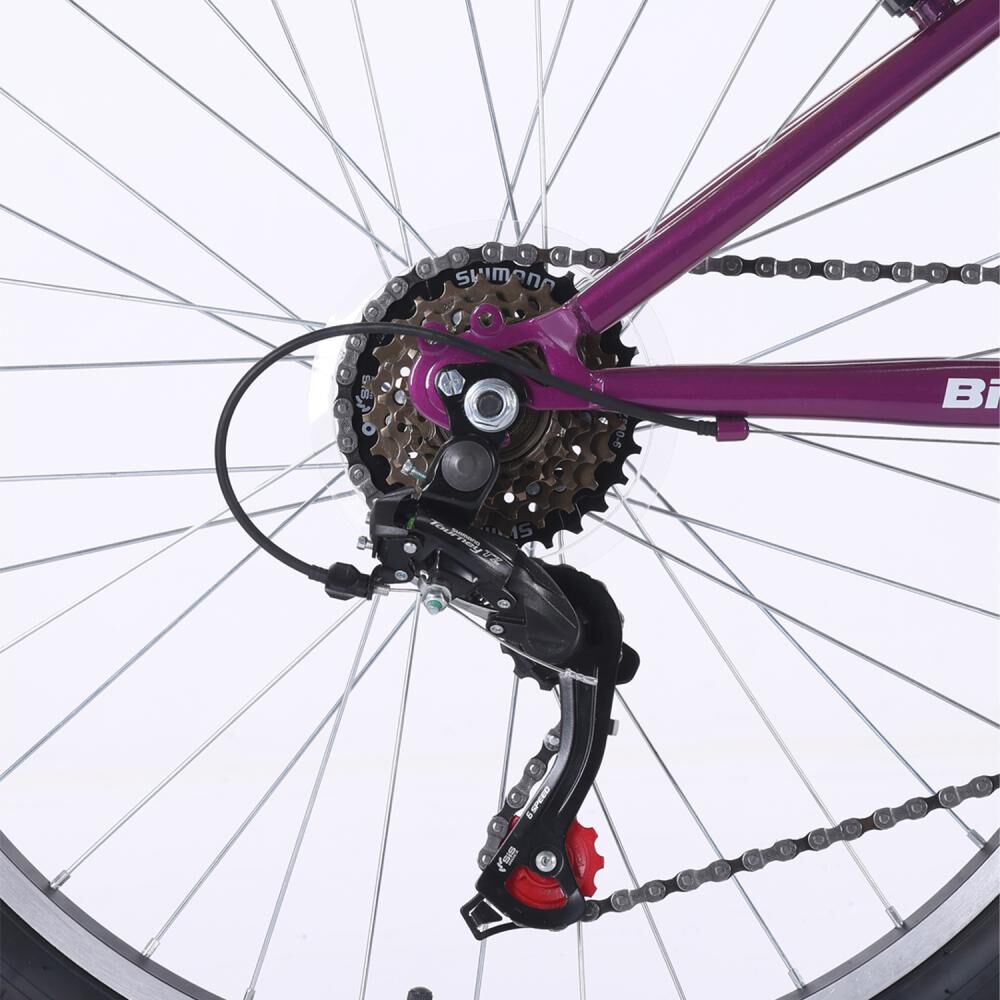 Bicicleta De Paseo Bianchi Bianchi Classic 24 St / Aro 24 image number 5.0