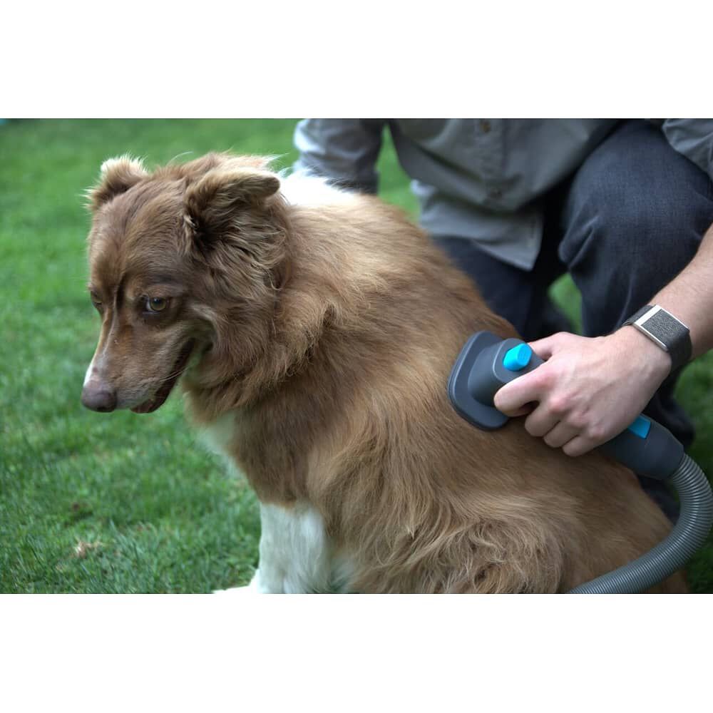 Cepillo Para Mascotas Pet Brush Aspiradora Inal&aacute;mbrica X5-full Primaterm image number 3.0