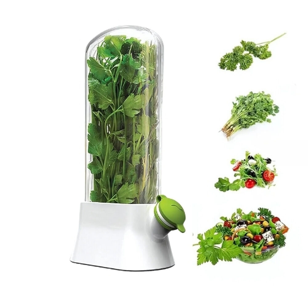 Envase Conservador De Hierbas Cilantro Perejil Refrigerador image number 0.0