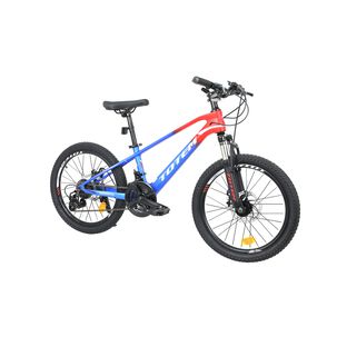 Bicicleta Totem Mtb Aro 20 Modelo Martin Magnesio Azul