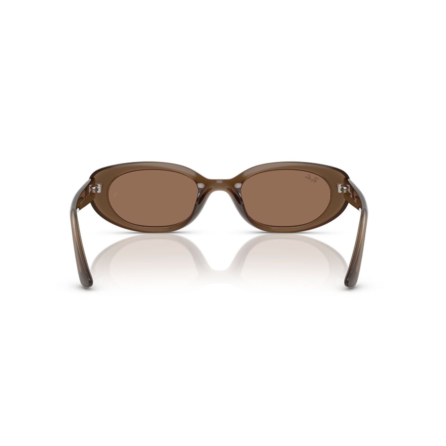 Lentes De Sol Marr&oacute;n Ray-ban image number 3.0