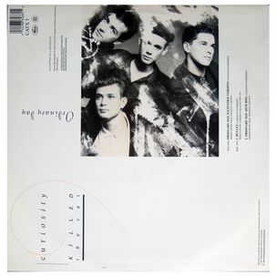 Curiosity Killed The Cat - Ordinary Day | 12" Maxi Single Usado