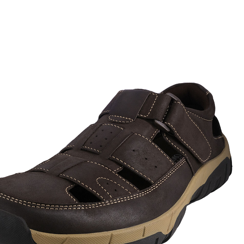 Franciscana De Cuero Pallidiflora Cafe London Adixt image number 3.0