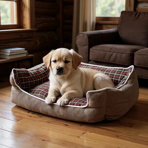 Cama Para Mascotas Espuma - Talla L (cafe)
