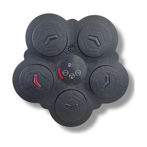 Maquina De Boxeo Bluetooth Inteligente Usb Fitness