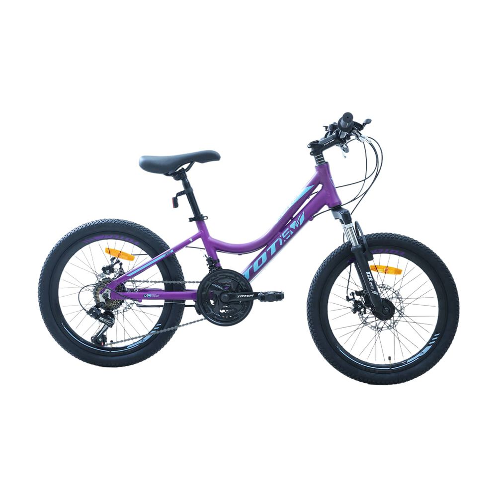 Bicicleta Totem Mtb Aro 20 Modelo Elise Morado image number 0.0