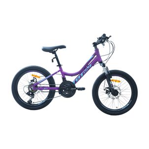 Bicicleta Totem Mtb Aro 20 Modelo Elise Morado