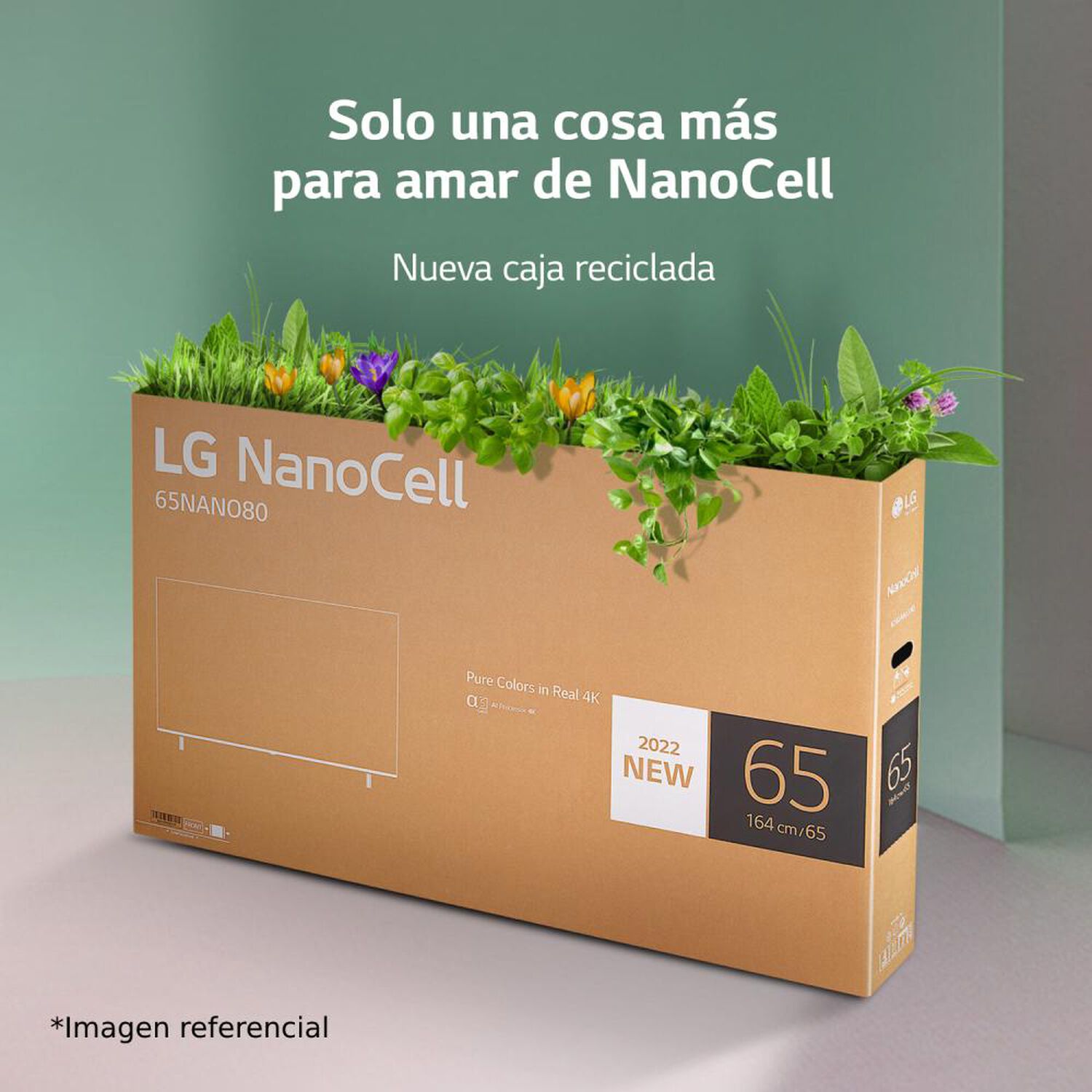 NanoCell 43" LG 43NANO75SQA / Ultra HD 4K / Smart TV image number 11.0