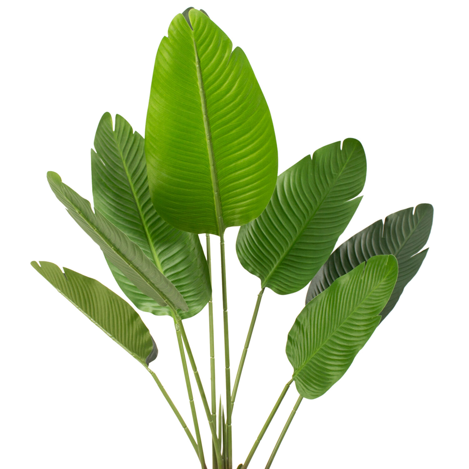 Planta Artificial Ave Del Paraiso 120 Cm 8 Hojas / Arbusto Real image number 1.0