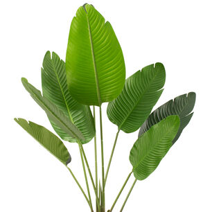 Planta Artificial Ave Del Paraiso 120 Cm 8 Hojas / Arbusto Real