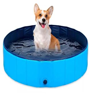 Piscina Perro Piscina Macota Bañera Plegable 80x20