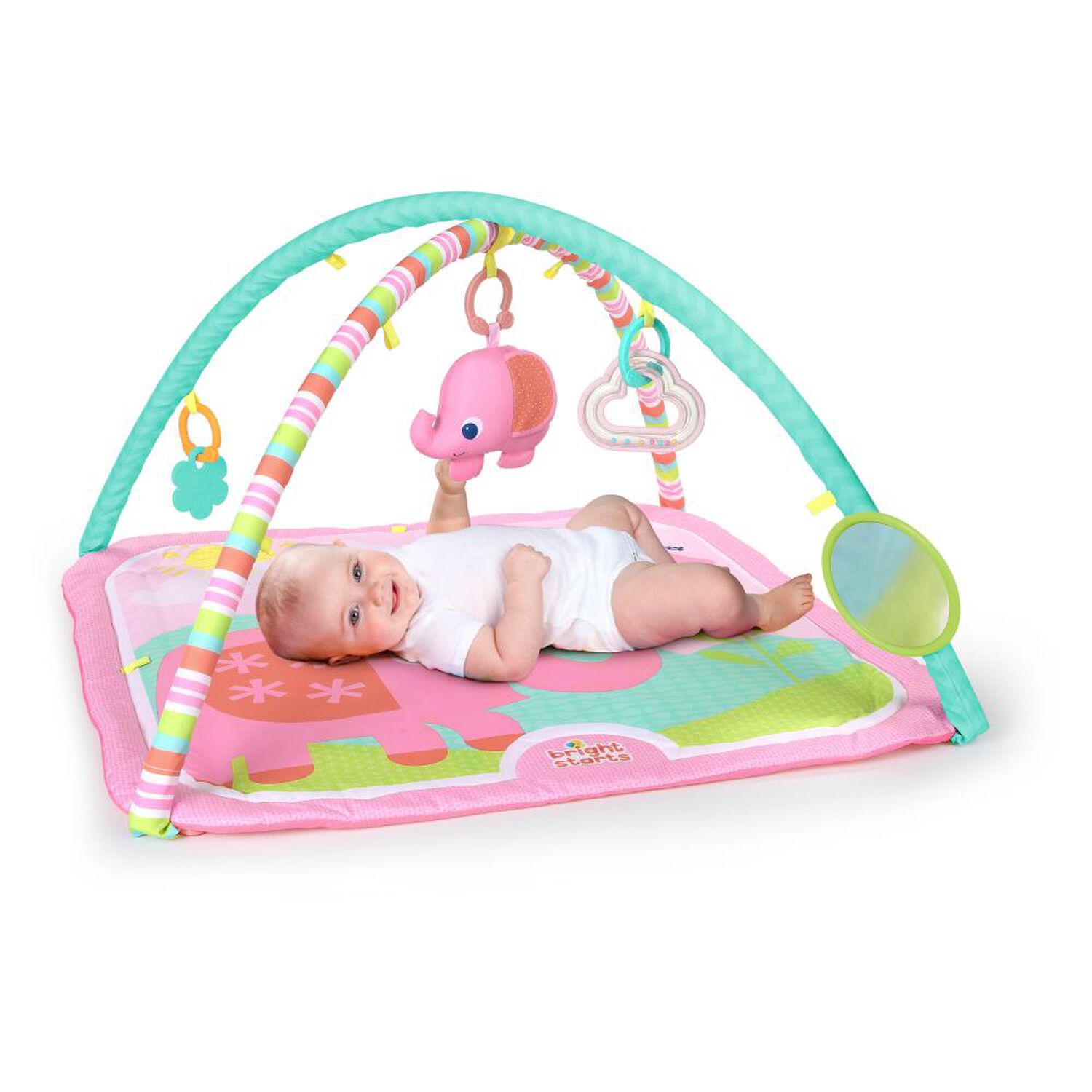 Gimnasio Bright Starts  Fanciful Flowers image number 1.0