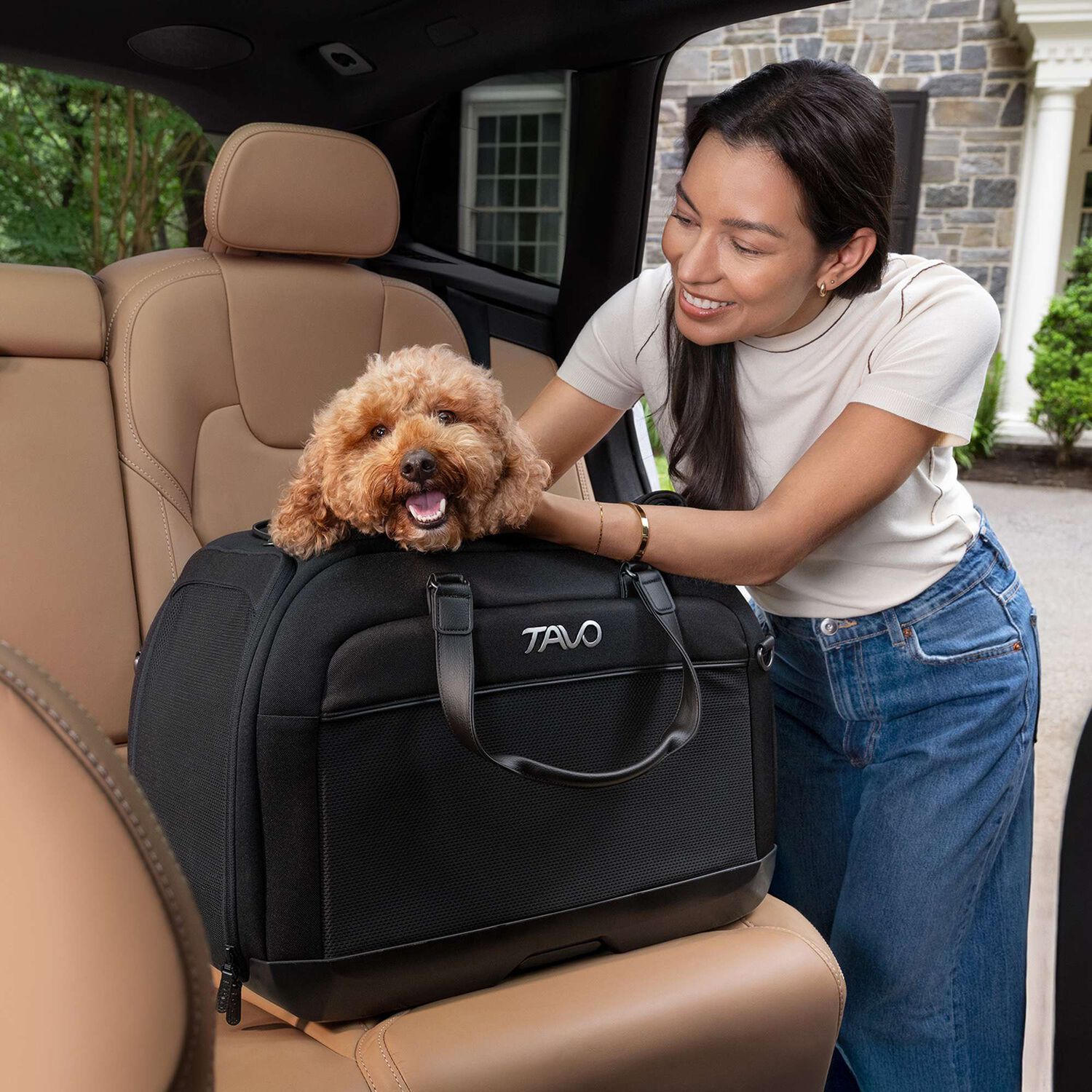 Silla Auto Mascota Hendrick Onyx image number 7.0