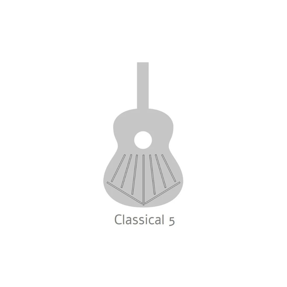 Guitarra Cl&aacute;sica 5p+funda 4/4 25 Mm Alhambra image number 5.0