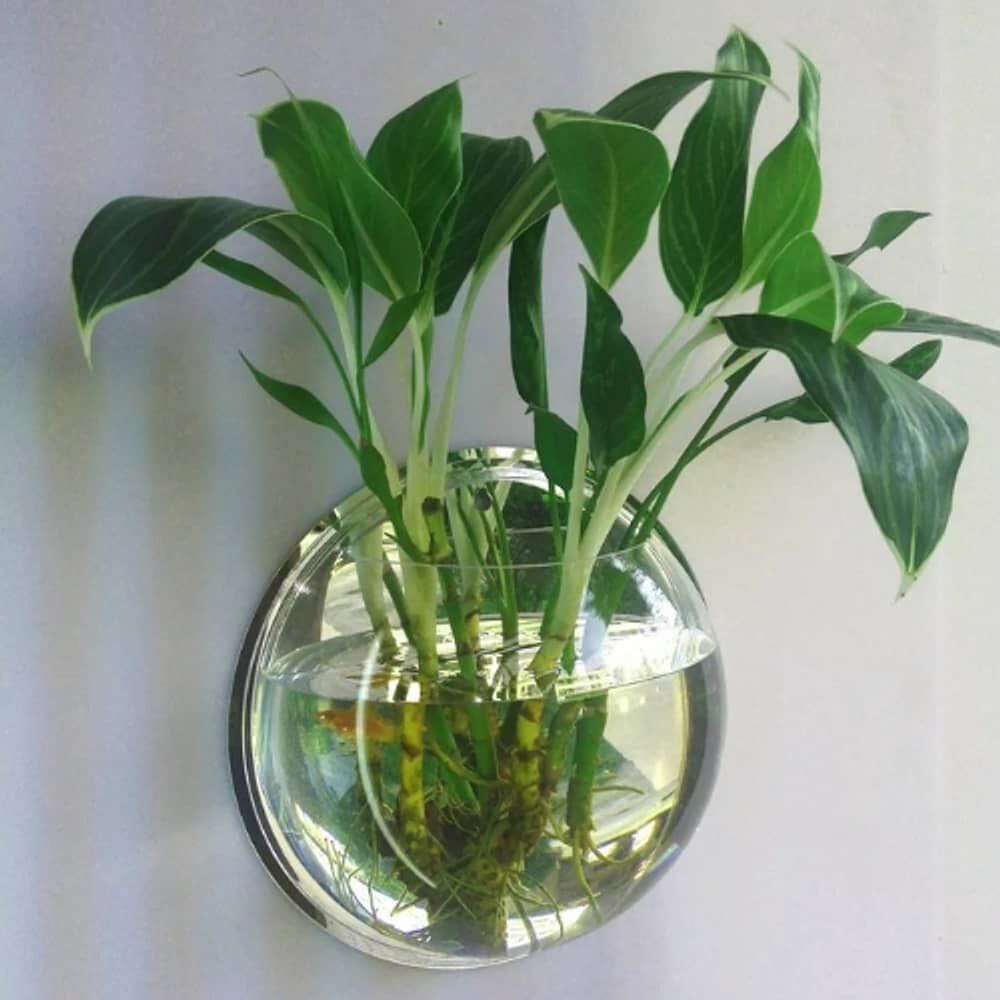 Maceta Colgante De Acr&iacute;lico Transparente Pared 26cm image number 1.0