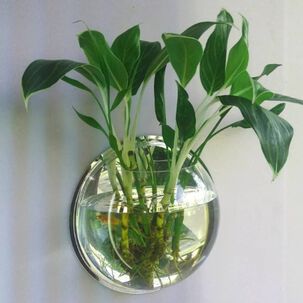 Maceta Colgante De Acr&iacute;lico Transparente Pared 26cm