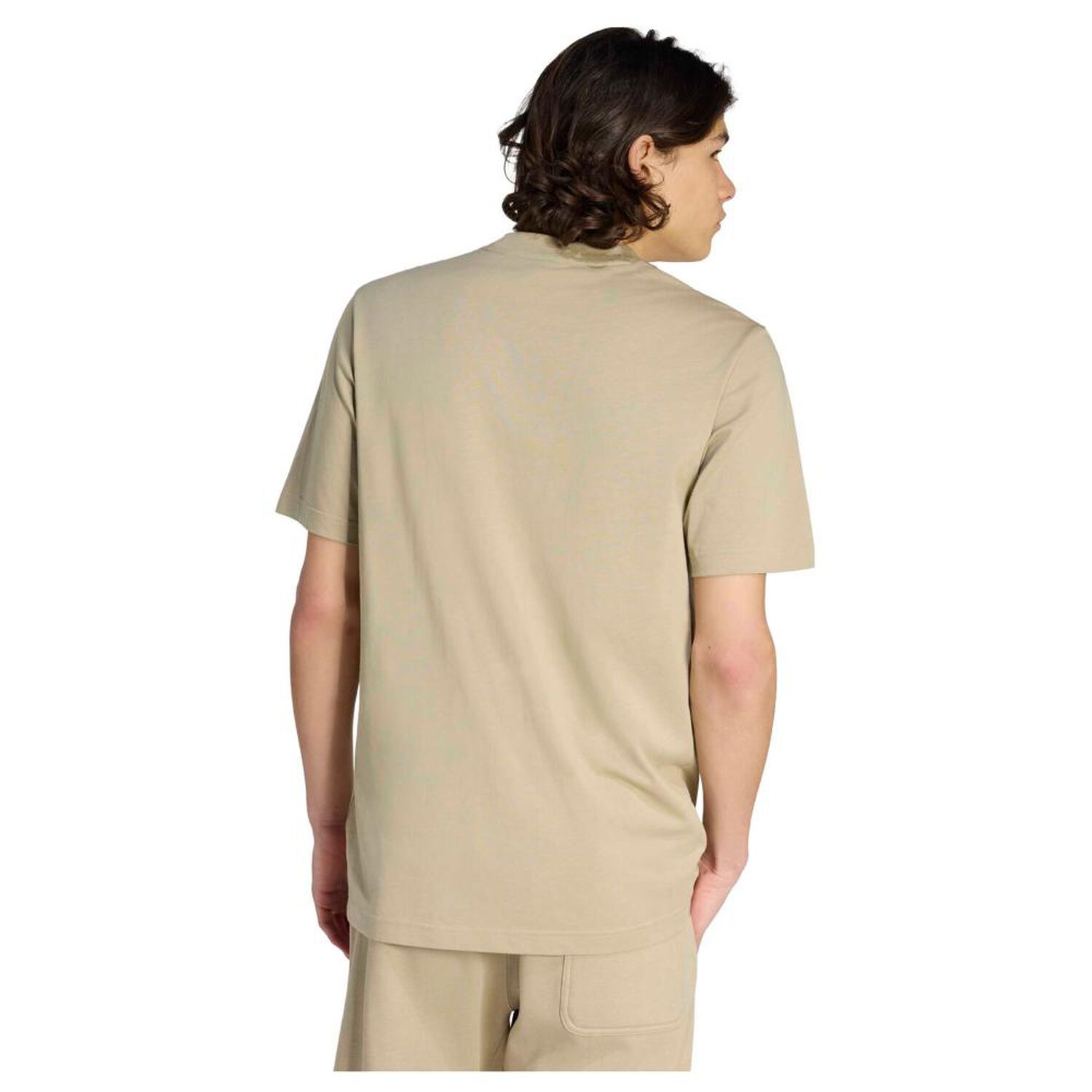 Camiseta Essentials Small Logo Single Jersey Adidas image number 2.0