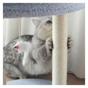 Rascador Juguete Para Gatos 49 Cm Altura 2 Pisos Azul Torre