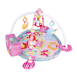 Gimnasio Corral Pelotas Zoo Pink
