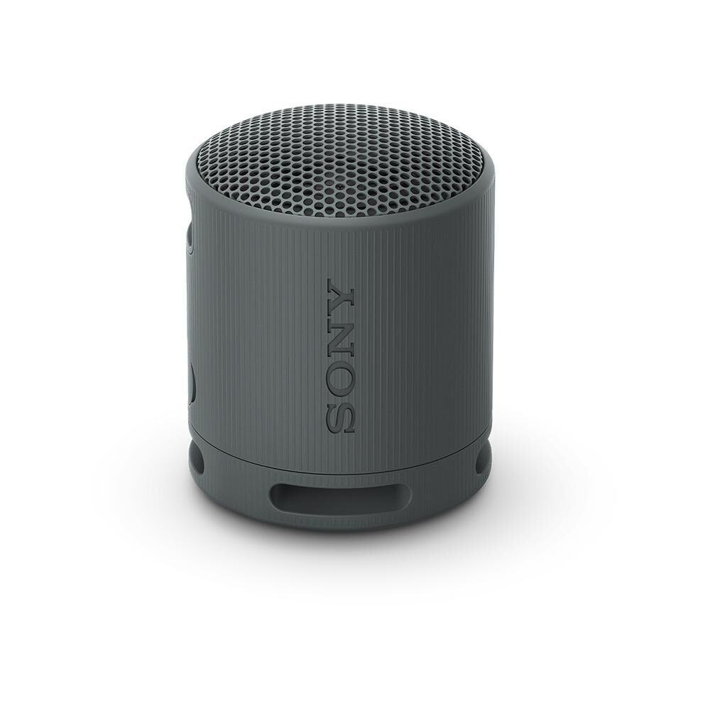 Parlante Bluetooth Sony Srs-xb100 image number 0.0