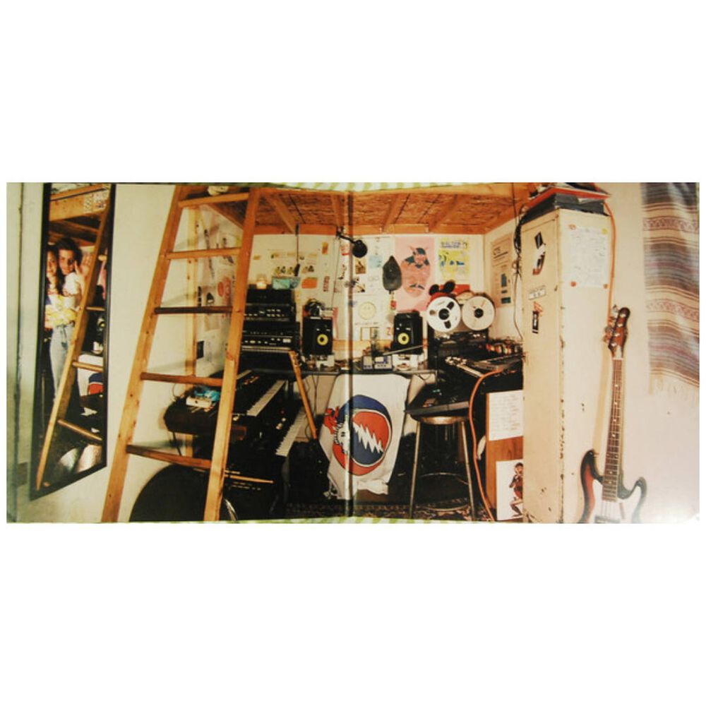 Mac Demarco - Salad Days | Vinilo image number 3.0