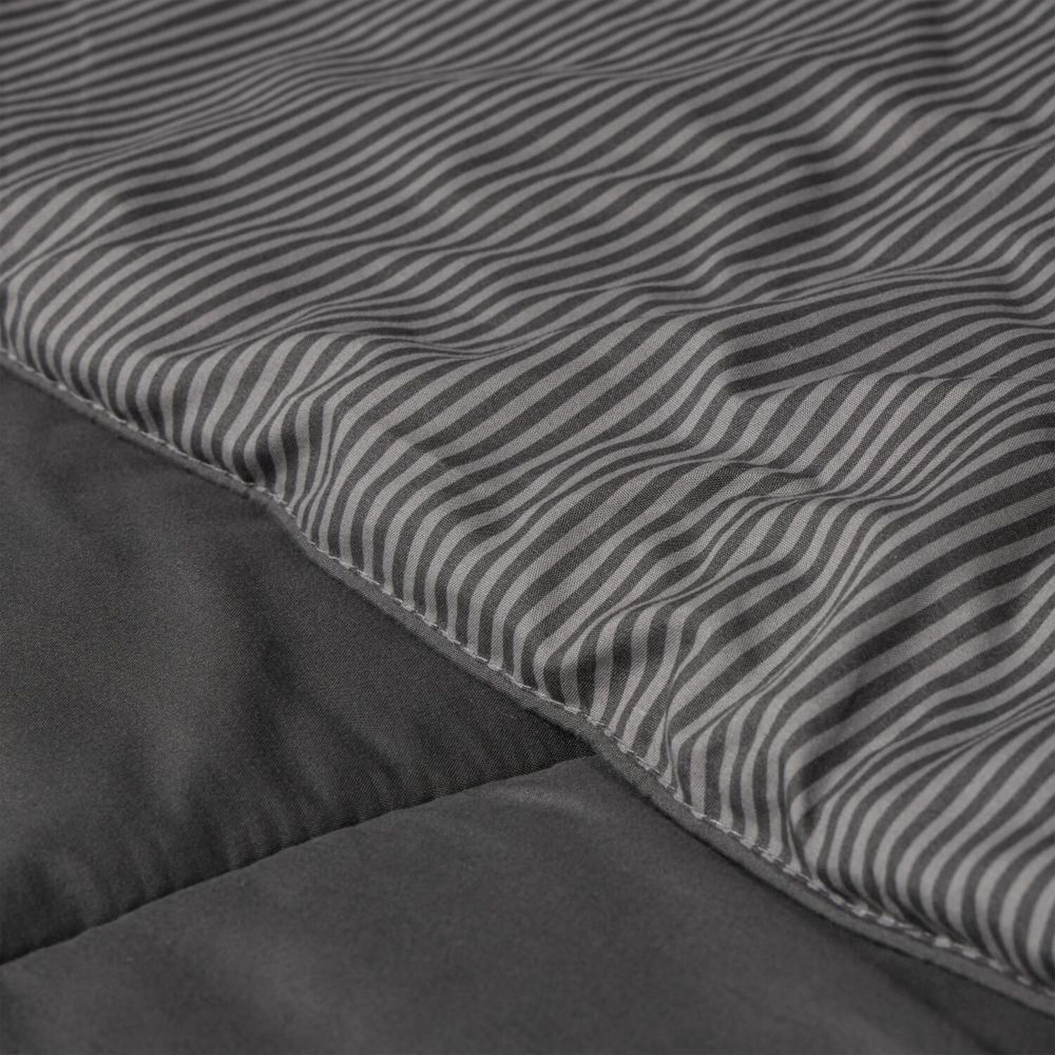 Plum&oacute;n Rosen Bicolor Lines / 2 Plazas image number 2.0