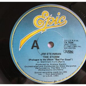 Jim Steinman - Rock And Roll Dreams Come Through | 7" Single Usado
