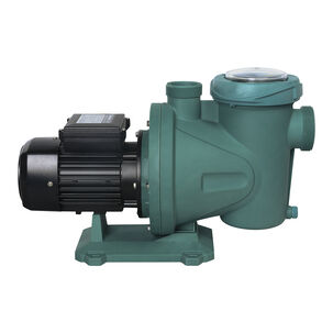 Electrobomba De Piscina 0,75 Hp Autocebante