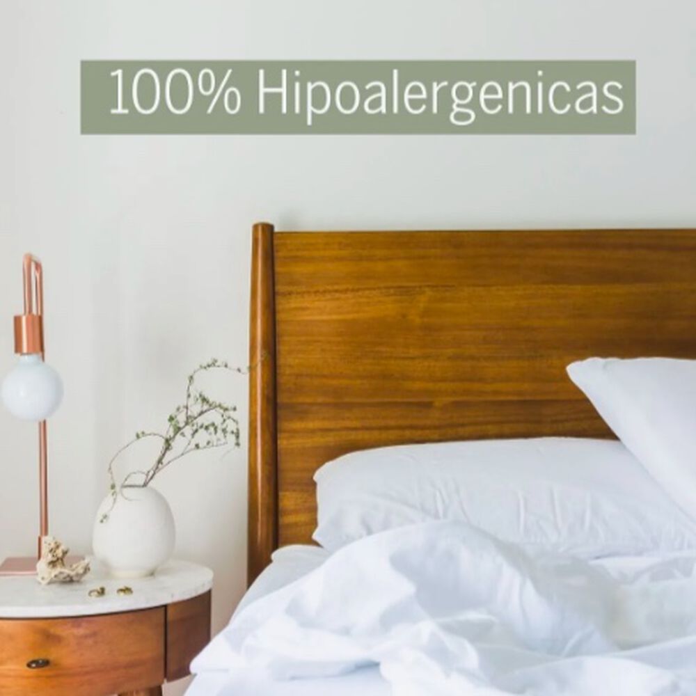 Juego De S&aacute;banas 1800 Hilos Menta 2 Plazas image number 3.0