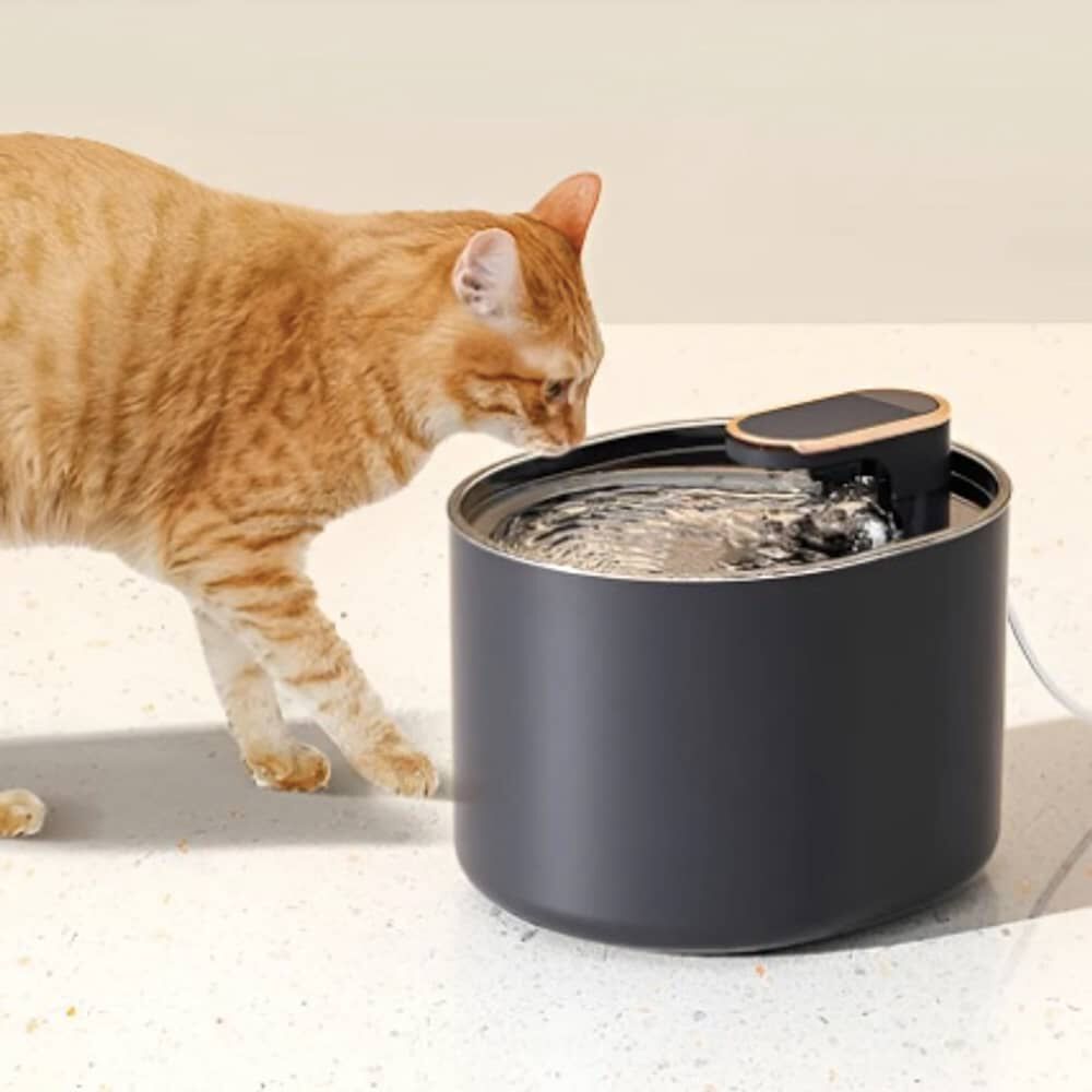 Bebedero Gatos Perros Mascotas image number 0.0