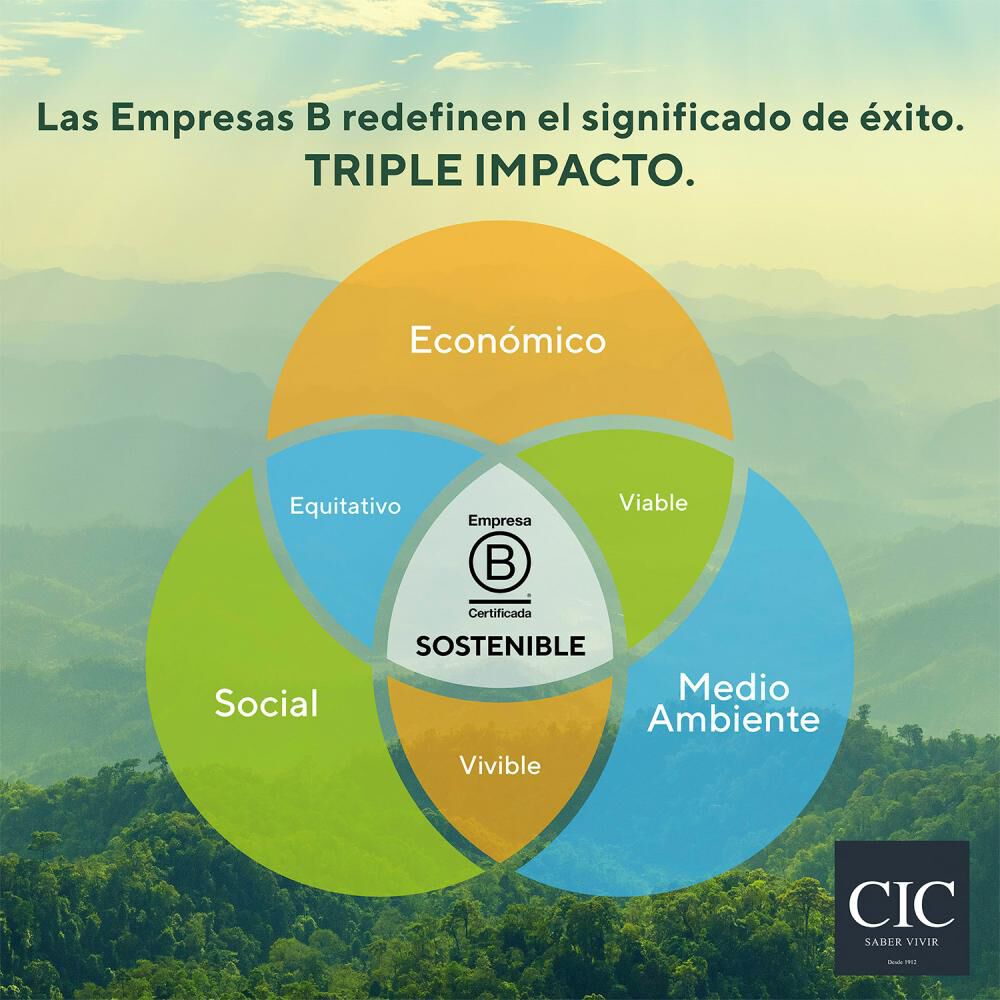 Cama Europea Cic Excellence Plus / 1.5 Plazas / Base Normal + Set De Maderas image number 8.0