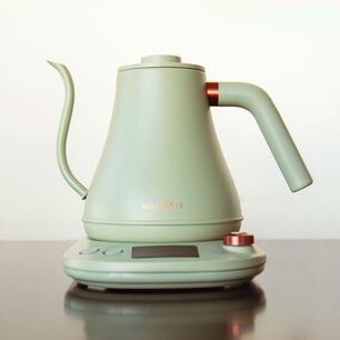 Hervidor El&eacute;ctrico Cuello De Cisne Con Control De Temperatura Mouvair Swan Verde