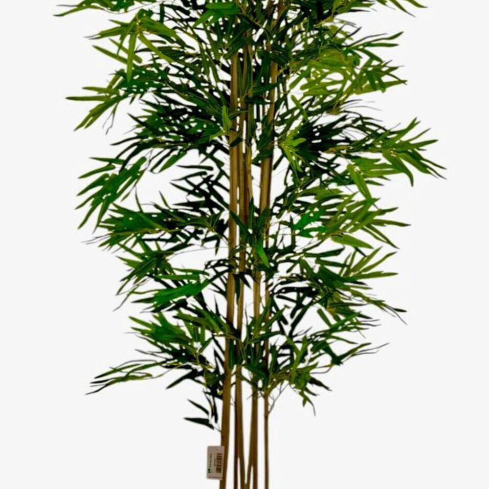 2 X 1 Bamboo Premium 150 Cm. / 1095 Hojas Arbusto Real image number 2.0