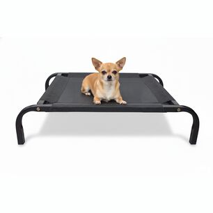 Cama Mascota Catrex S Estructura De Acero Malla Transpirable