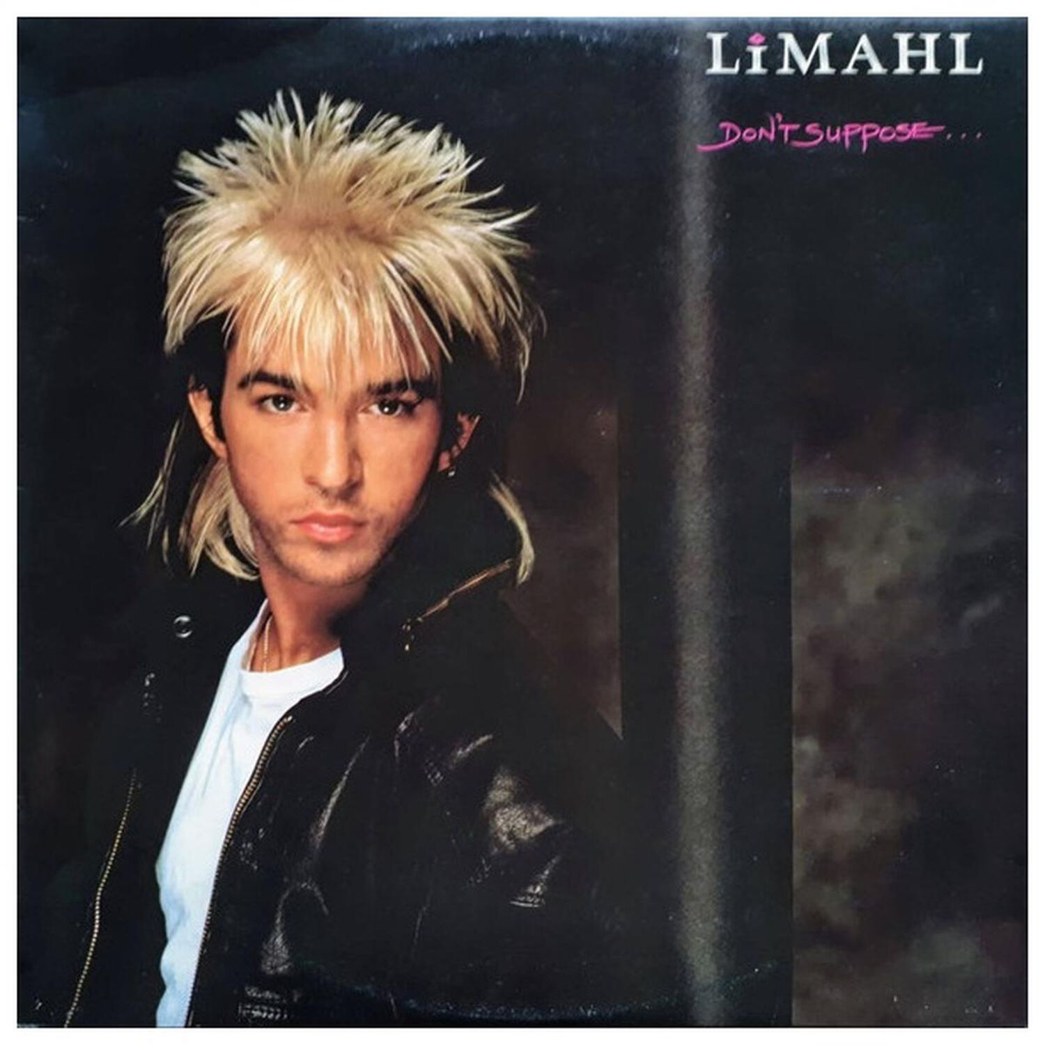 Limahl - Don't Suppose | Vinilo Usado image number 1.0