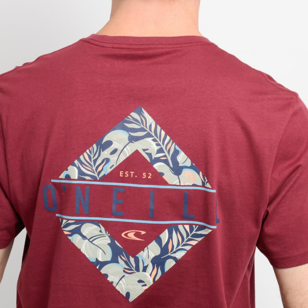 Polera Manga Corta Cuello Redondo Hombre O'neill image number 5.0