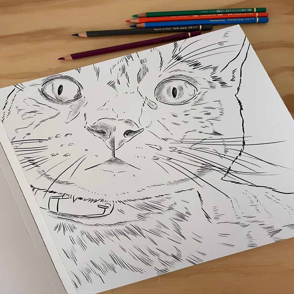 Libro Para Colorear Gatos Por Cata Fuenzalida image number 4.0