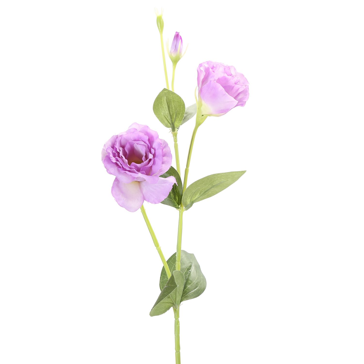 Vara Lisianthus P&uacute;rpura 82 Cm image number 1.0