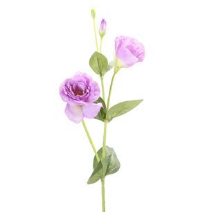 Vara Lisianthus P&uacute;rpura 82 Cm