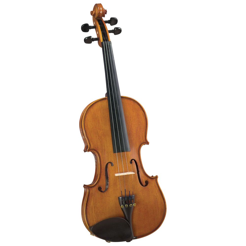Viol&iacute;n Outfit 4/4' Sv-175 Cremona image number 0.0