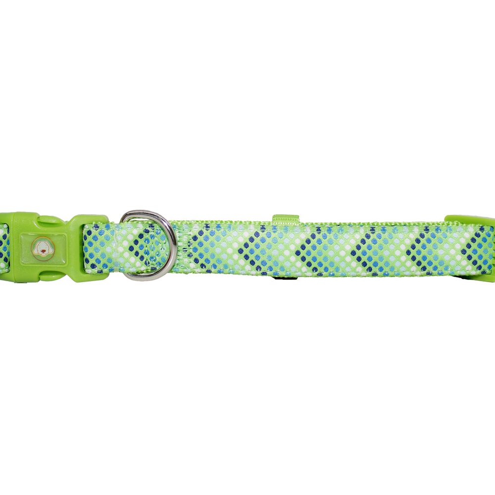 Collar Perro Puntitos S Verde Mascan image number 0.0